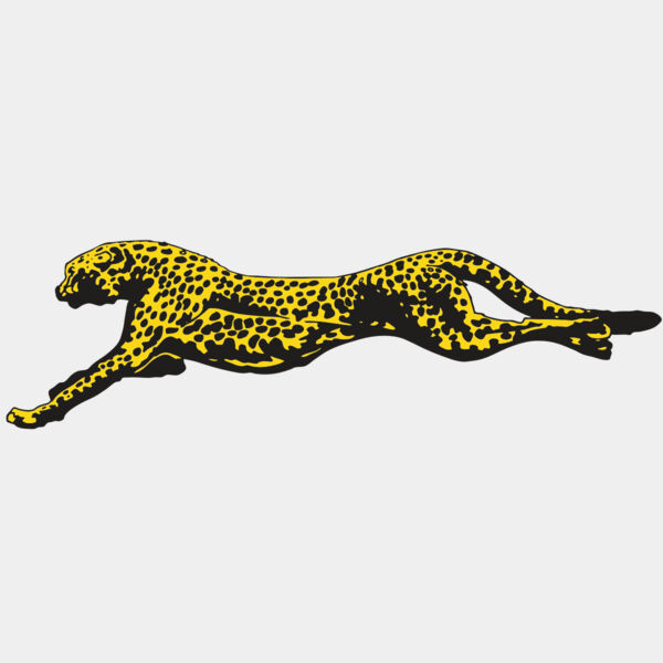 AR CHEETAH 12 RC Thumbnail