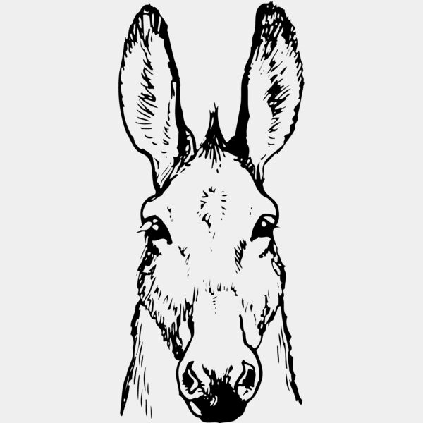 BURRO008 Thumbnail