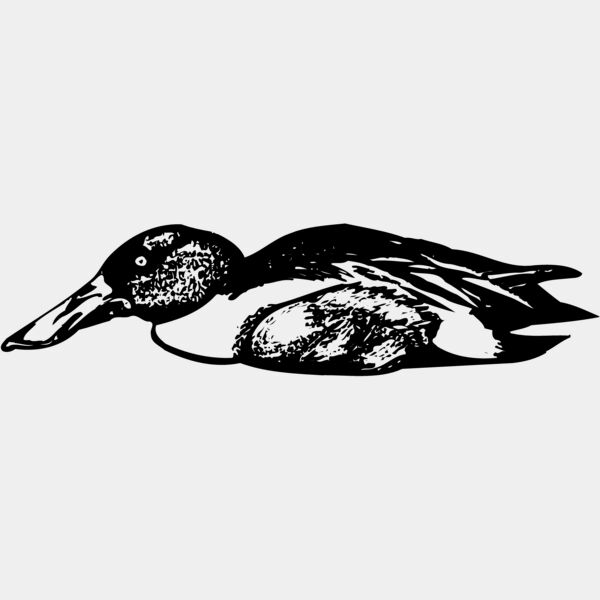 BIRD099 Thumbnail