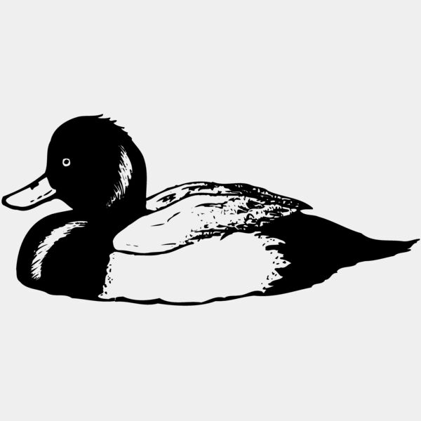 BIRD103 Thumbnail