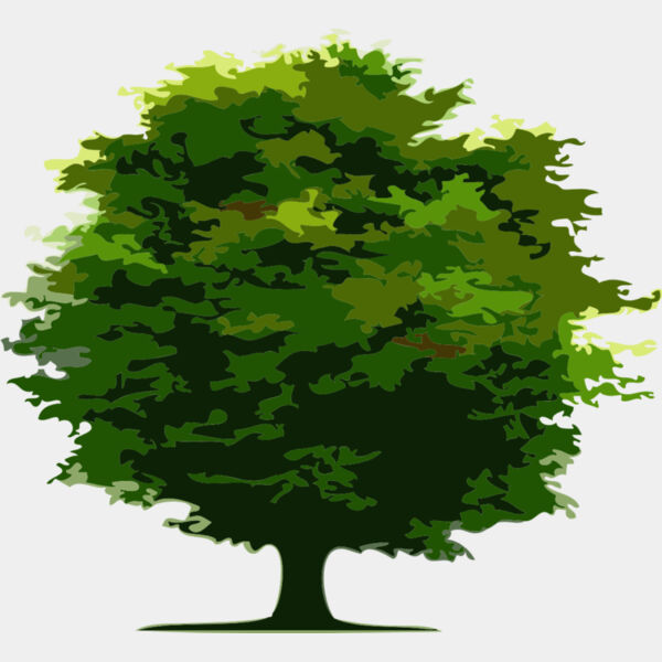 Tree 24 Thumbnail