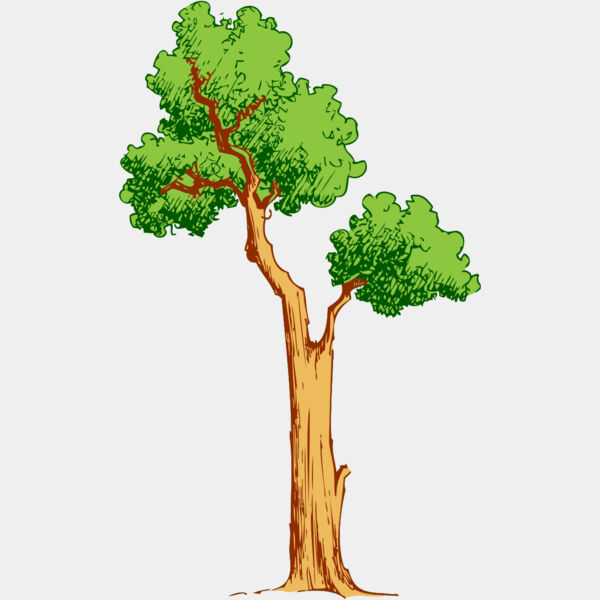 Tree 41 Thumbnail